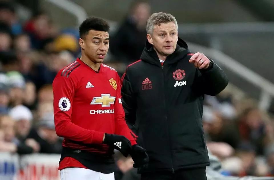 极强的适应 极强的适应